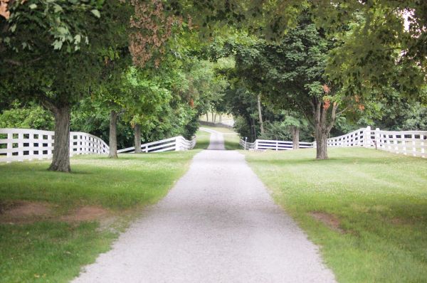 Gravel Driveway Construction in New Bern