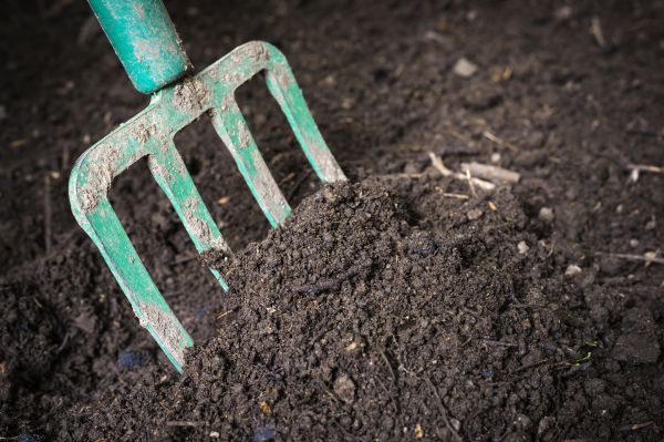 Topsoil Spreading in New Bern