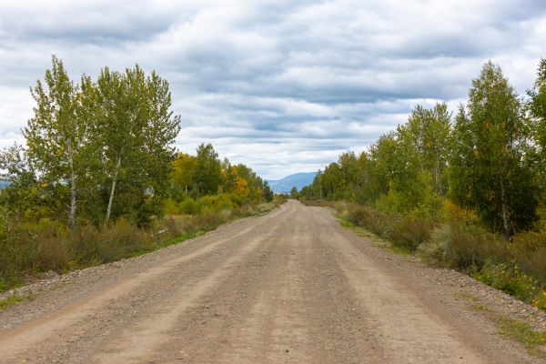 Dirt Road Repair in New Bern