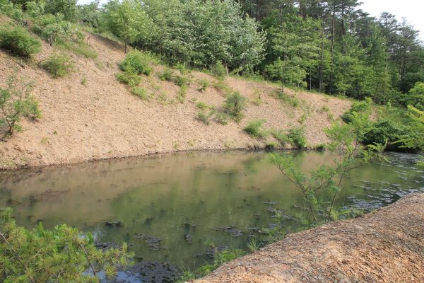 Pond Erosion Repair in New Bern